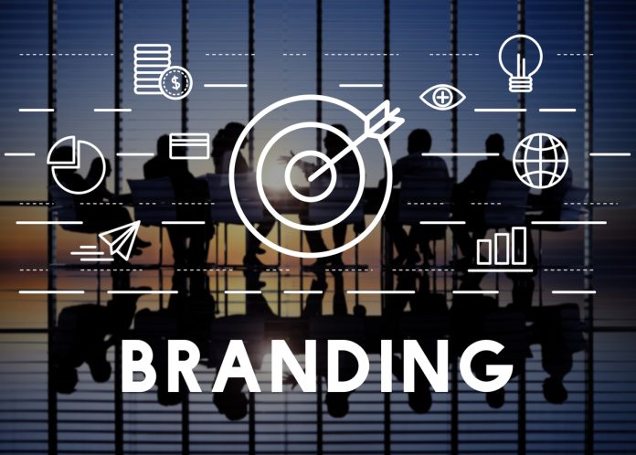 Brand development & branding